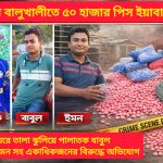 উখিয়ার বালুখালীতে ৫০ হাজার পিস ইয়াবা ছিনতাই: বাবুল পলাতক, আসিফ-ইমনসহ একাধিকজনের বিরুদ্ধে জড়িত থাকার অভিযোগ