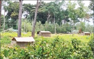 আলোকিত উখিয়া