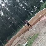 শামলাপুরে ঝাউবাগানে ফের স্থাপনা নির্মাণের অভিযোগ, উদ্বেগ স্থানীয়দের