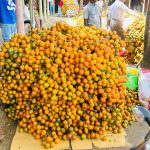 টেকনাফের বাহারছড়ার সুপারি, স্থানীয় আয়ের অন্যতম বড় উৎস