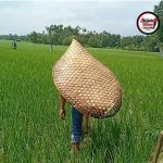 উখিয়ায় পর্যাপ্ত সার সরবরাহ, চাহিদামতো সংগ্রহের আহ্বান